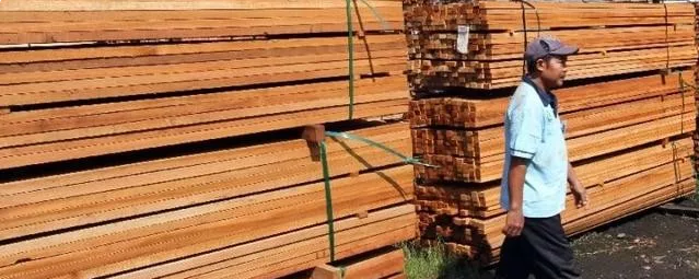 创秋木业资讯:数十家中国木材加工厂意欲迁到印尼!