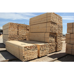 木材加工-名和沪中木业木材加工(图)-辐射松木材加工